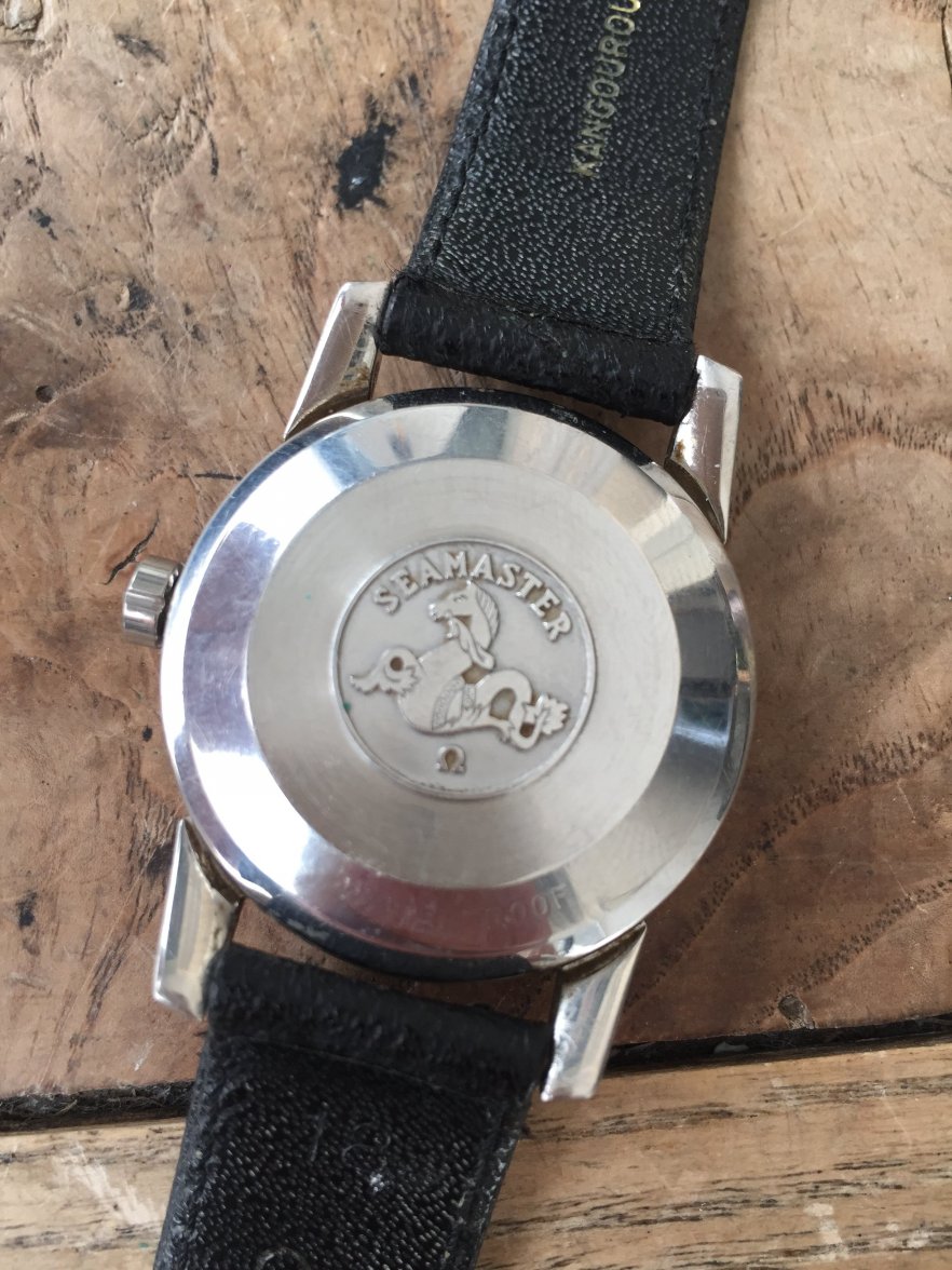 IMG_3230.jpeg IMG_3230.jpeg