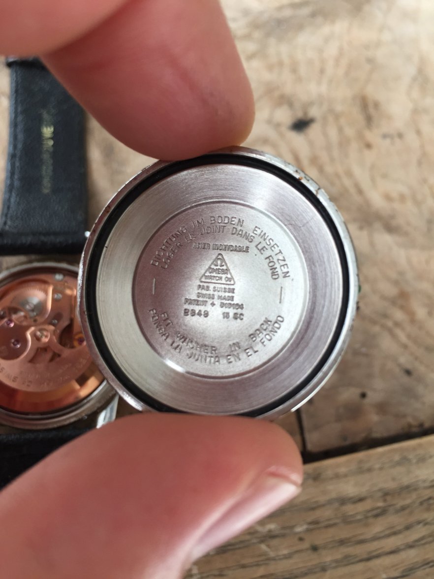 IMG_3233.jpeg IMG_3233.jpeg