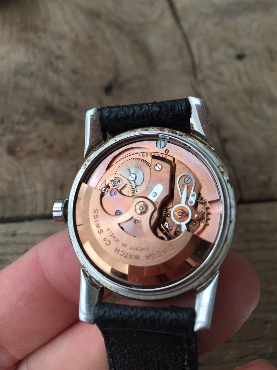 IMG_3234.jpeg IMG_3234.jpeg