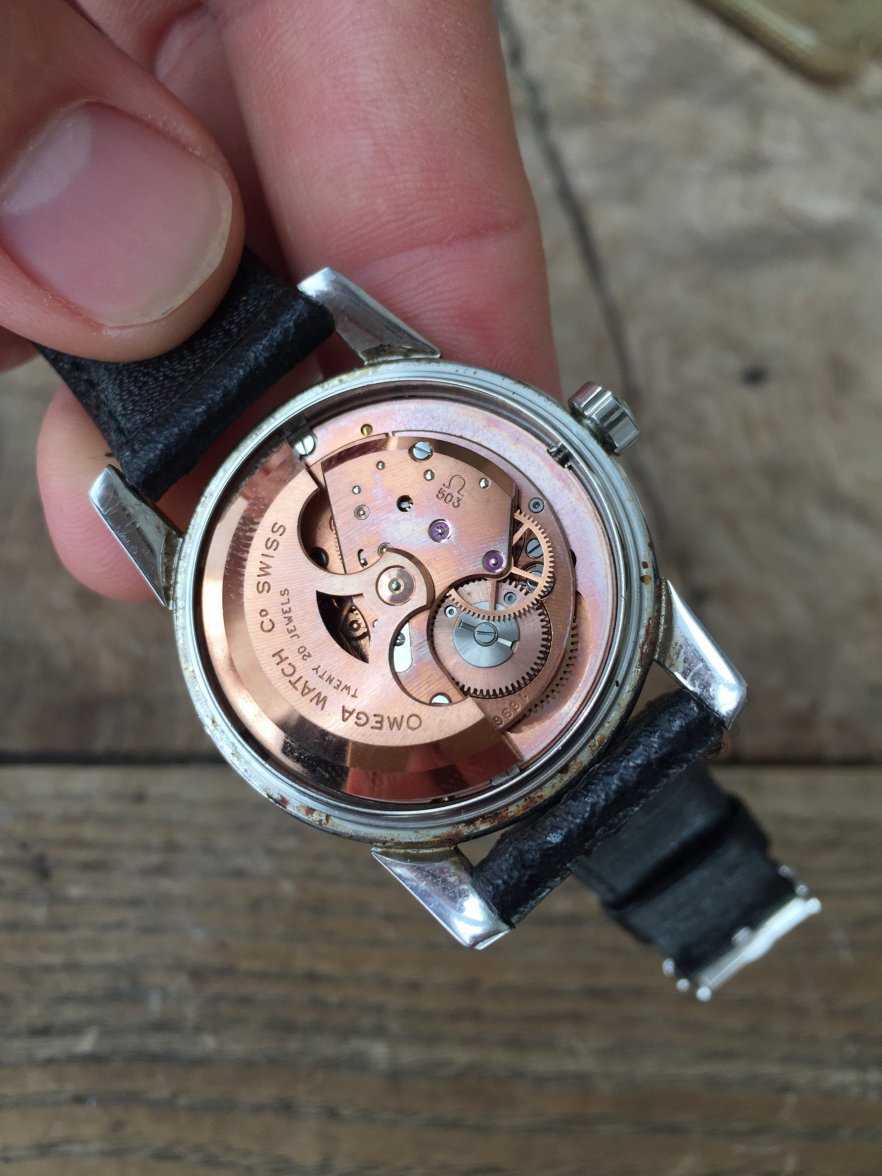 IMG_3235.jpeg IMG_3235.jpeg