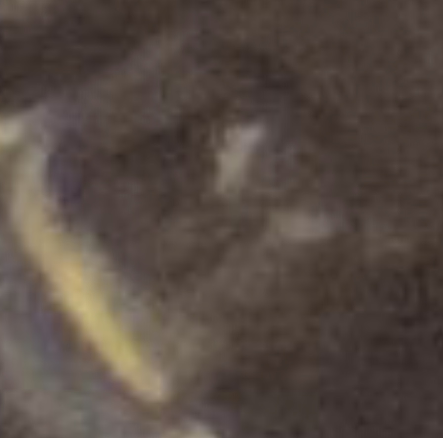 233D0A5A-C227-404E-BA8D-7C6FDA6C6538.jpeg