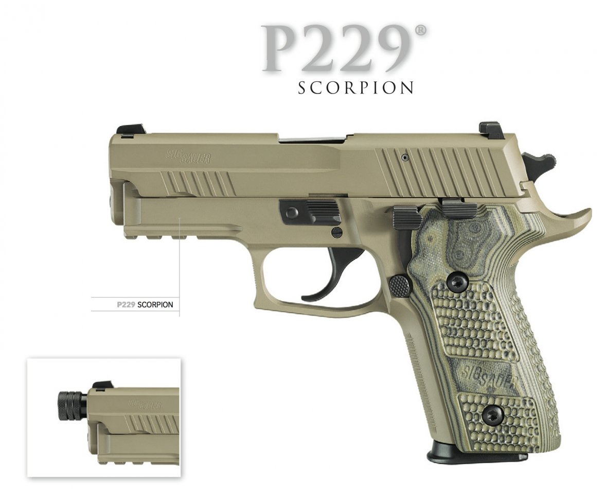 SIG P229.jpeg