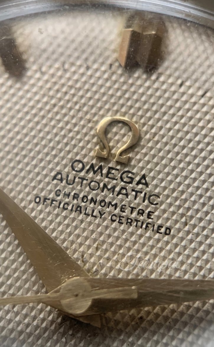 B3313F73-B117-408F-B635-E3EF0838AEAE.jpeg B3313F73-B117-408F-B635-E3EF0838AEAE.jpeg