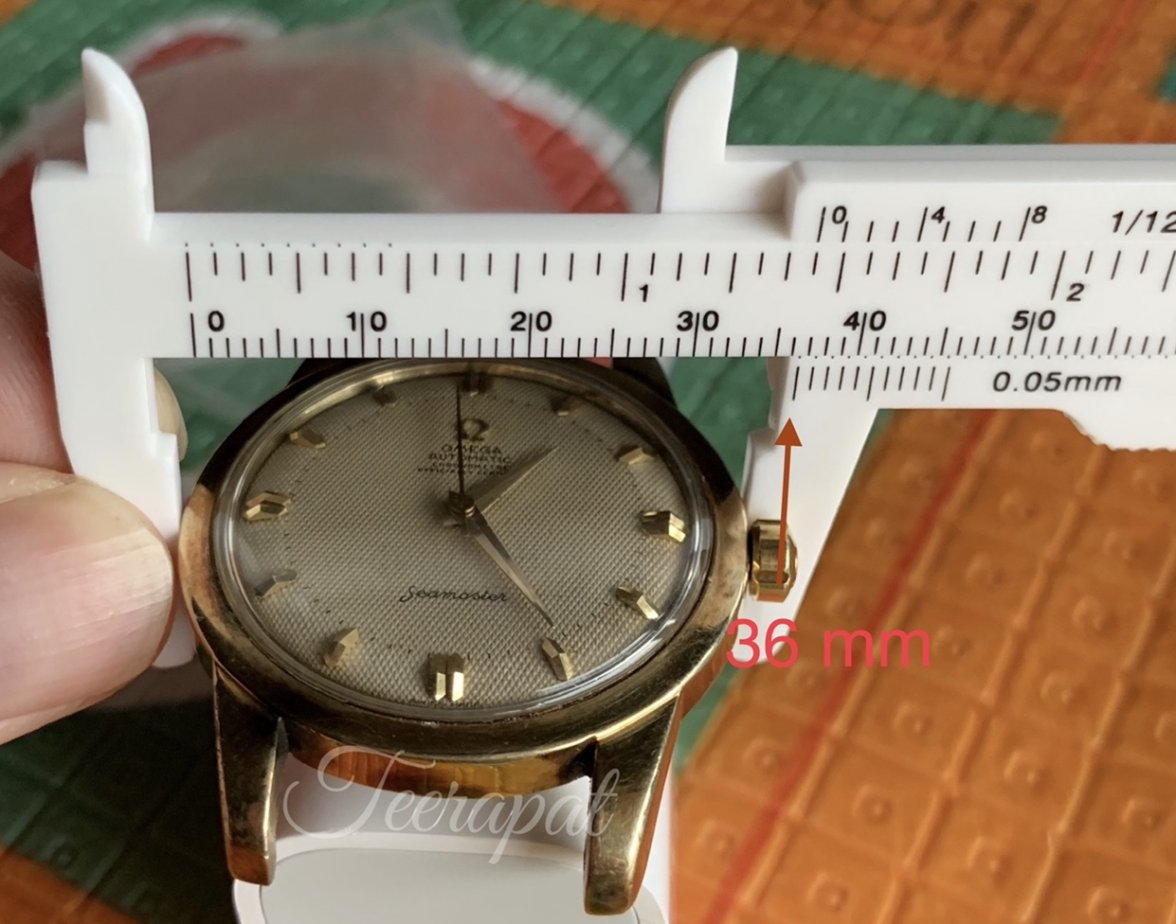 45843009-4370-474A-8A7D-DA3949A79AC3.jpeg 45843009-4370-474A-8A7D-DA3949A79AC3.jpeg