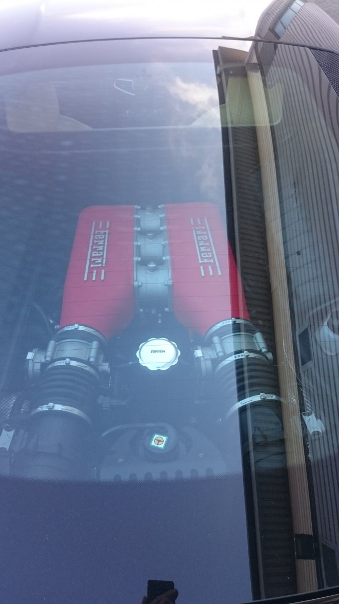DSC_0172.JPG DSC_0172.JPG