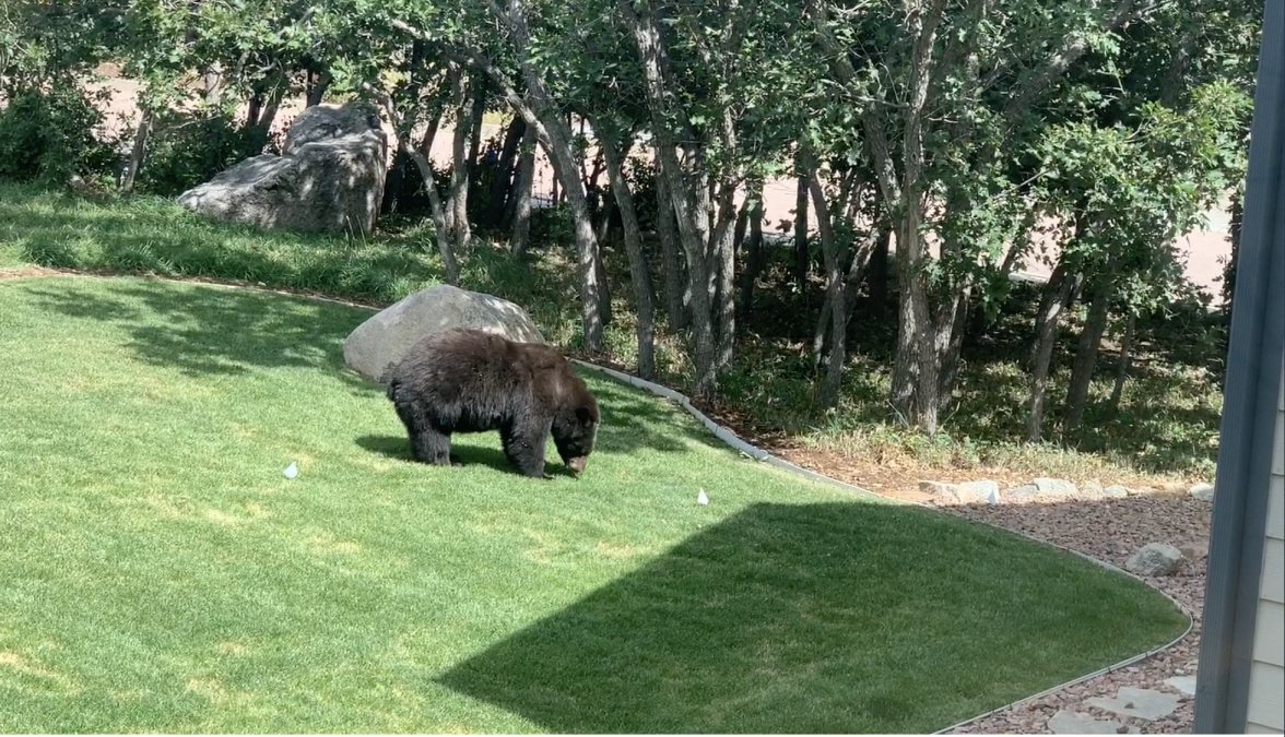 Screenshot 2020-04-30 22.31.46.png