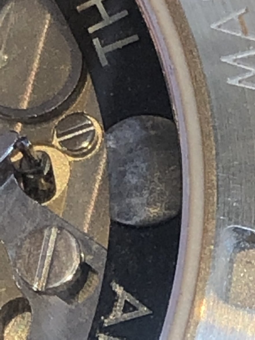 988E31CA-2F35-4333-B608-B10722F3AB6F.jpeg 988E31CA-2F35-4333-B608-B10722F3AB6F.jpeg