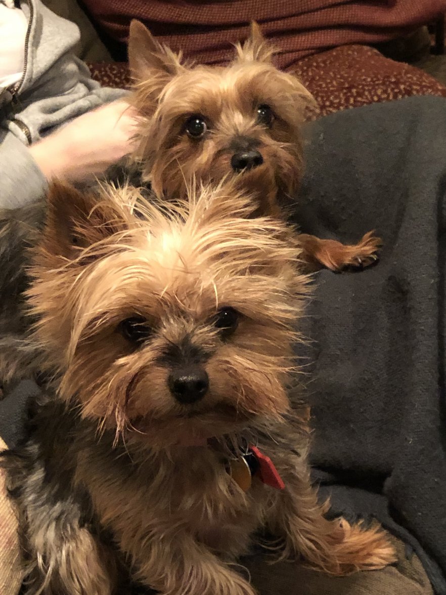 D24D9B0F-7B91-4B87-A064-17B2BE39126E.jpeg D24D9B0F-7B91-4B87-A064-17B2BE39126E.jpeg