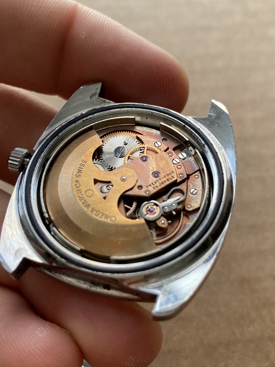 E11E3927-8EA5-4C2A-A7D8-20A095A059F6.jpeg E11E3927-8EA5-4C2A-A7D8-20A095A059F6.jpeg