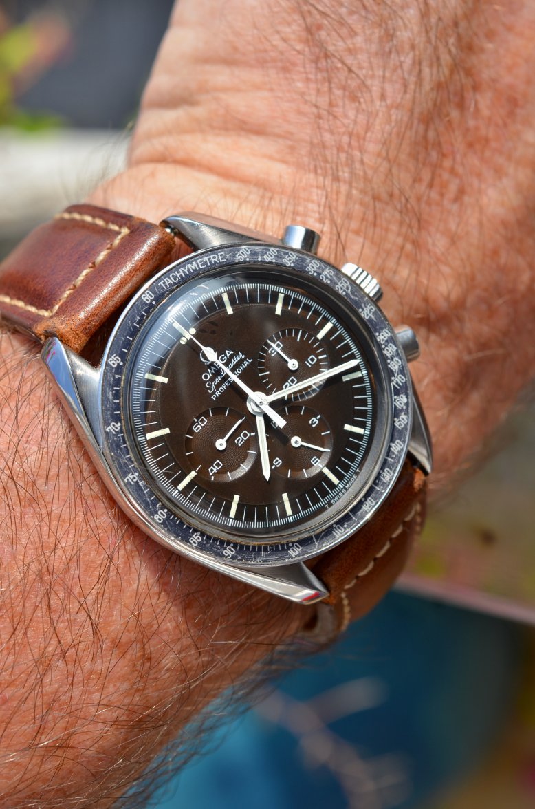 DSC_1815.jpeg DSC_1815.jpeg