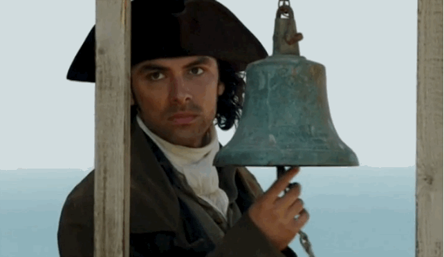 MildShyGull-size_restricted.gif MildShyGull-size_restricted.gif