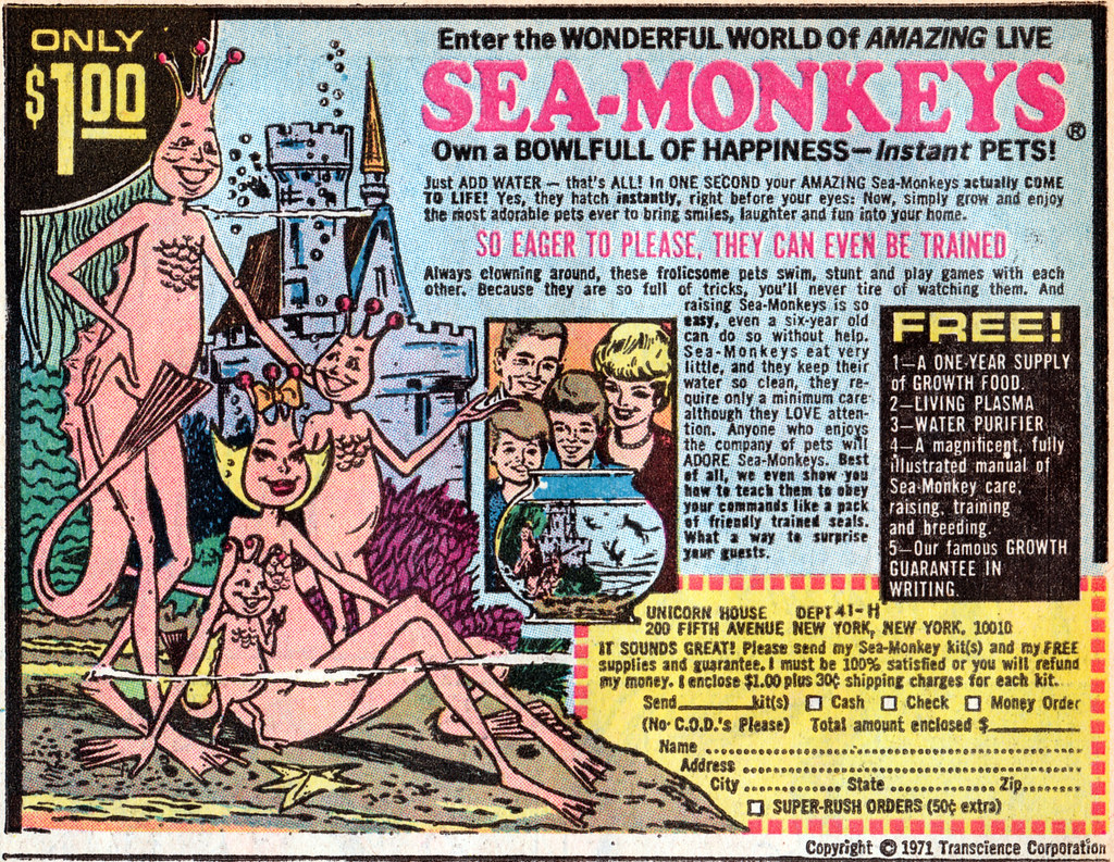 sea monkeys.jpg