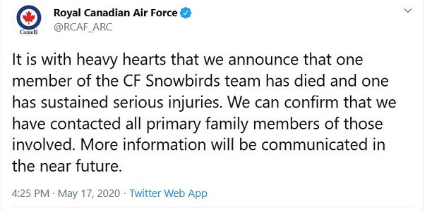 Snowbirds.JPG