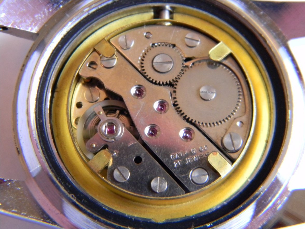 mortima_green 011.JPG