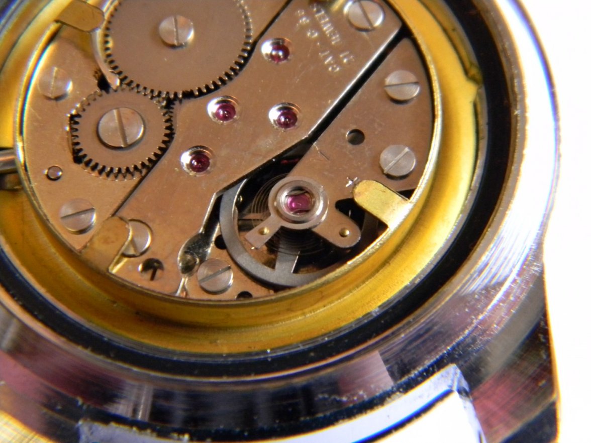 mortima_green 013.JPG