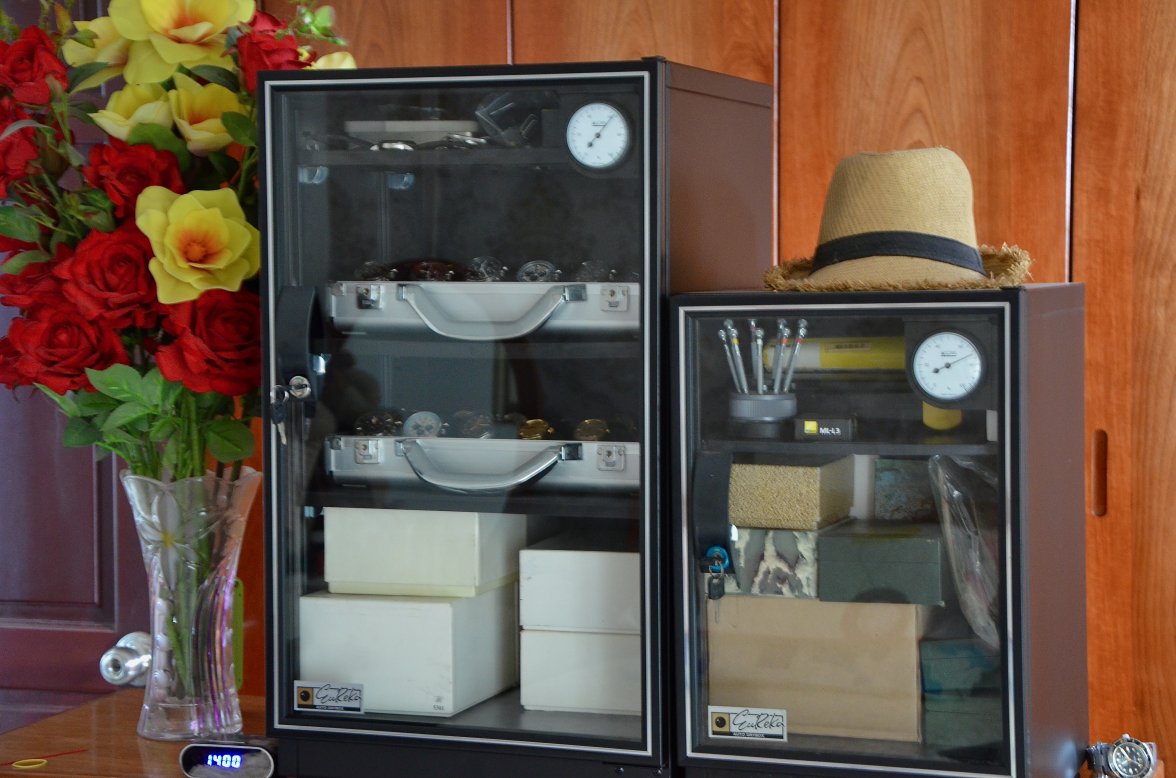 DSC_2111.jpeg DSC_2111.jpeg