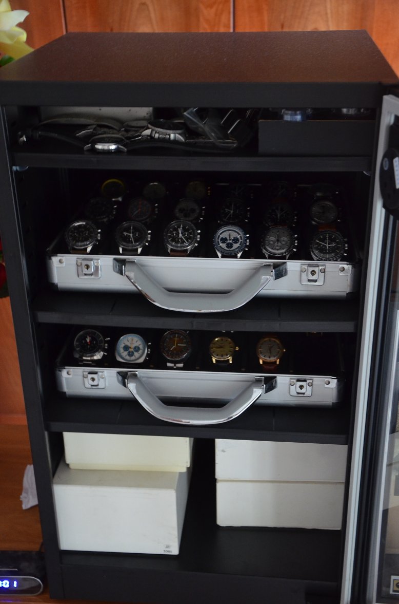 DSC_2114.jpeg DSC_2114.jpeg