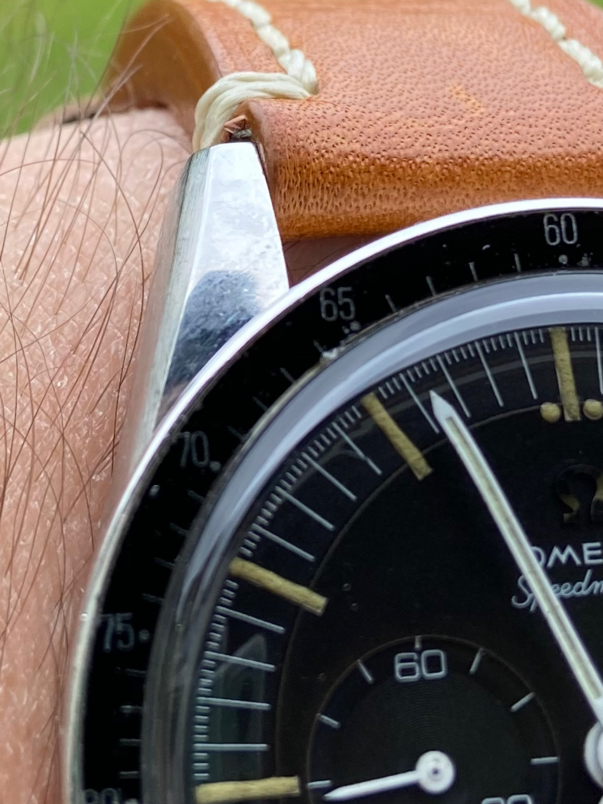 IMG_5935.jpeg IMG_5935.jpeg