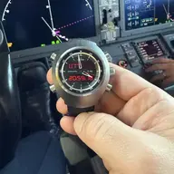 Speedy Guppy