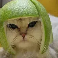 chanimal