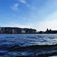 Calluminati