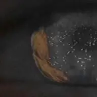 MarsJohn