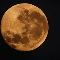 leo666