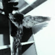 User56