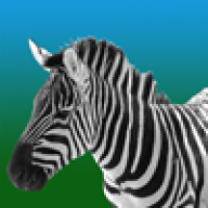 BigZebra