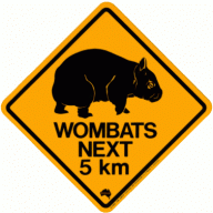 Wombat