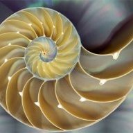 fibonacci