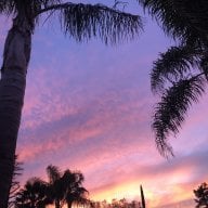 Wound up LA
