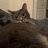 KevinScoop